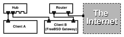 Network Layout